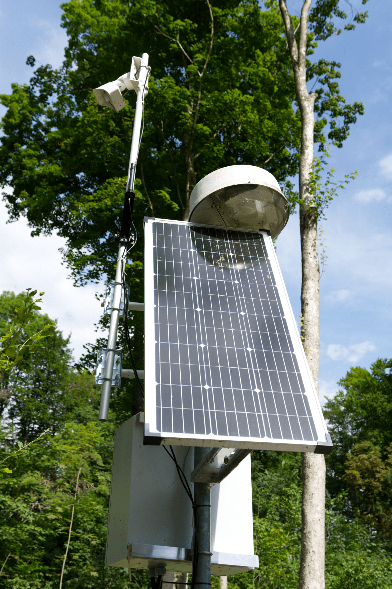 Solarpanel am Baum in Augsburg
