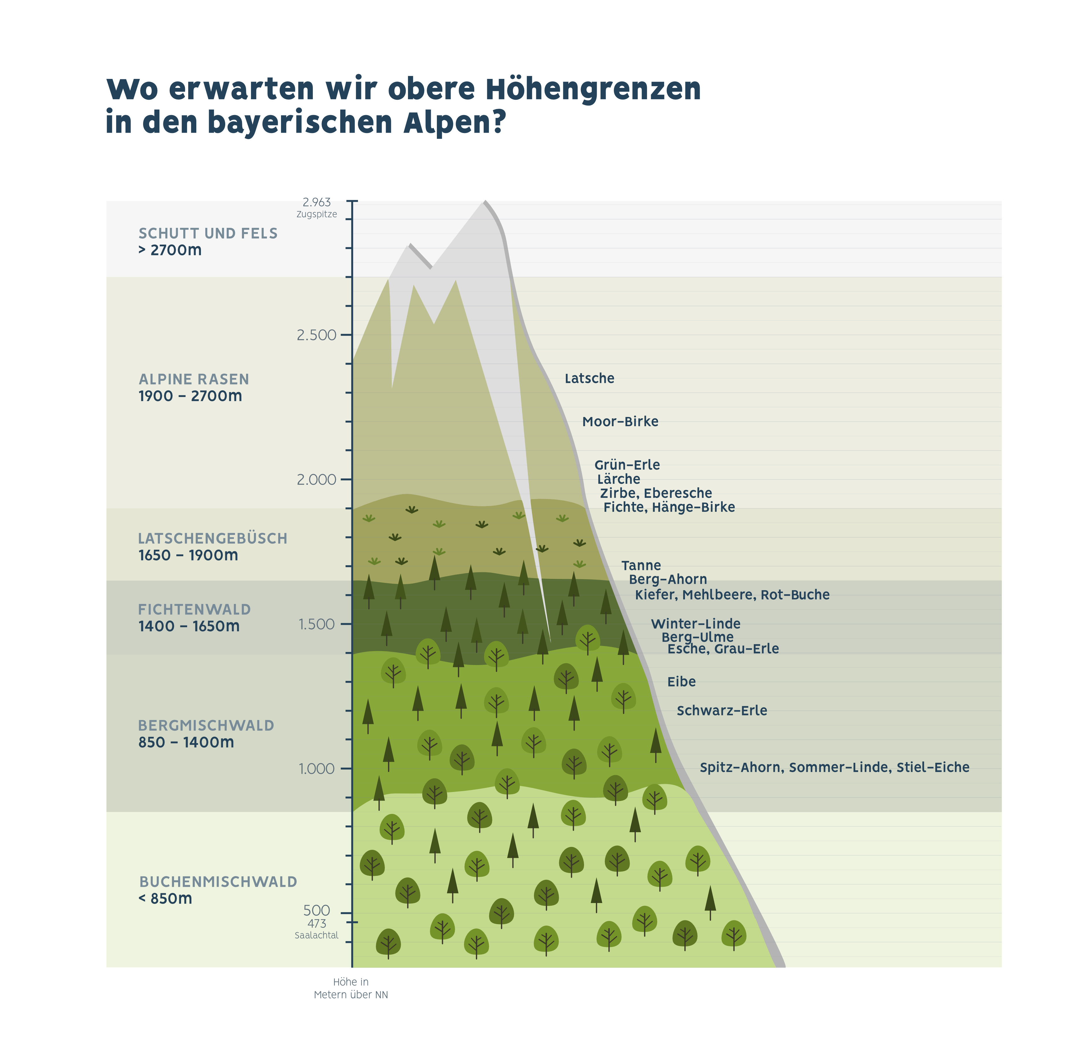 Grafik: Wo erwarten wir obere Höhengrenzen in den Bayerischen Alpen