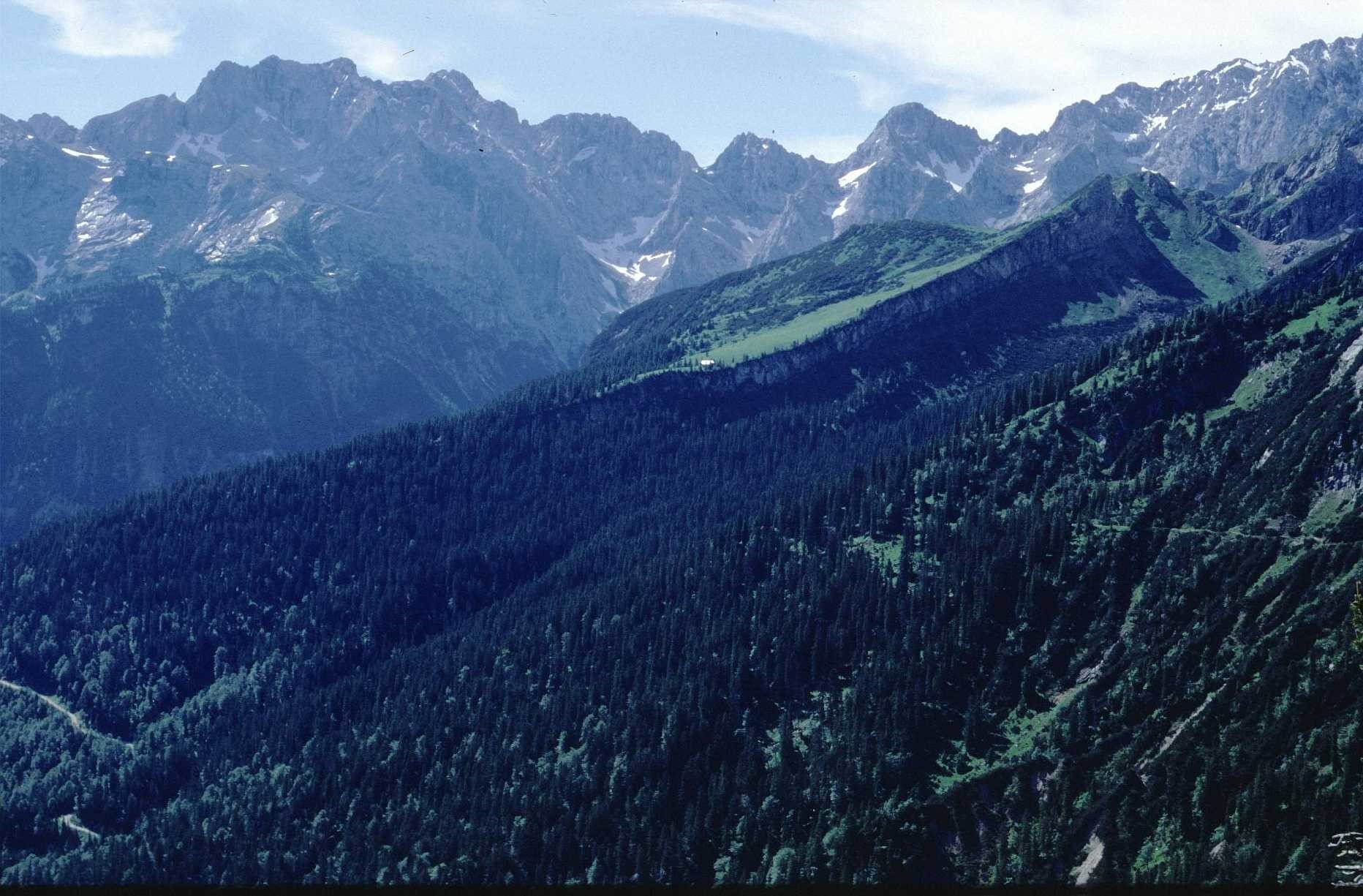 Waldgrenze und Baumgrenze im Wettersteingebirge