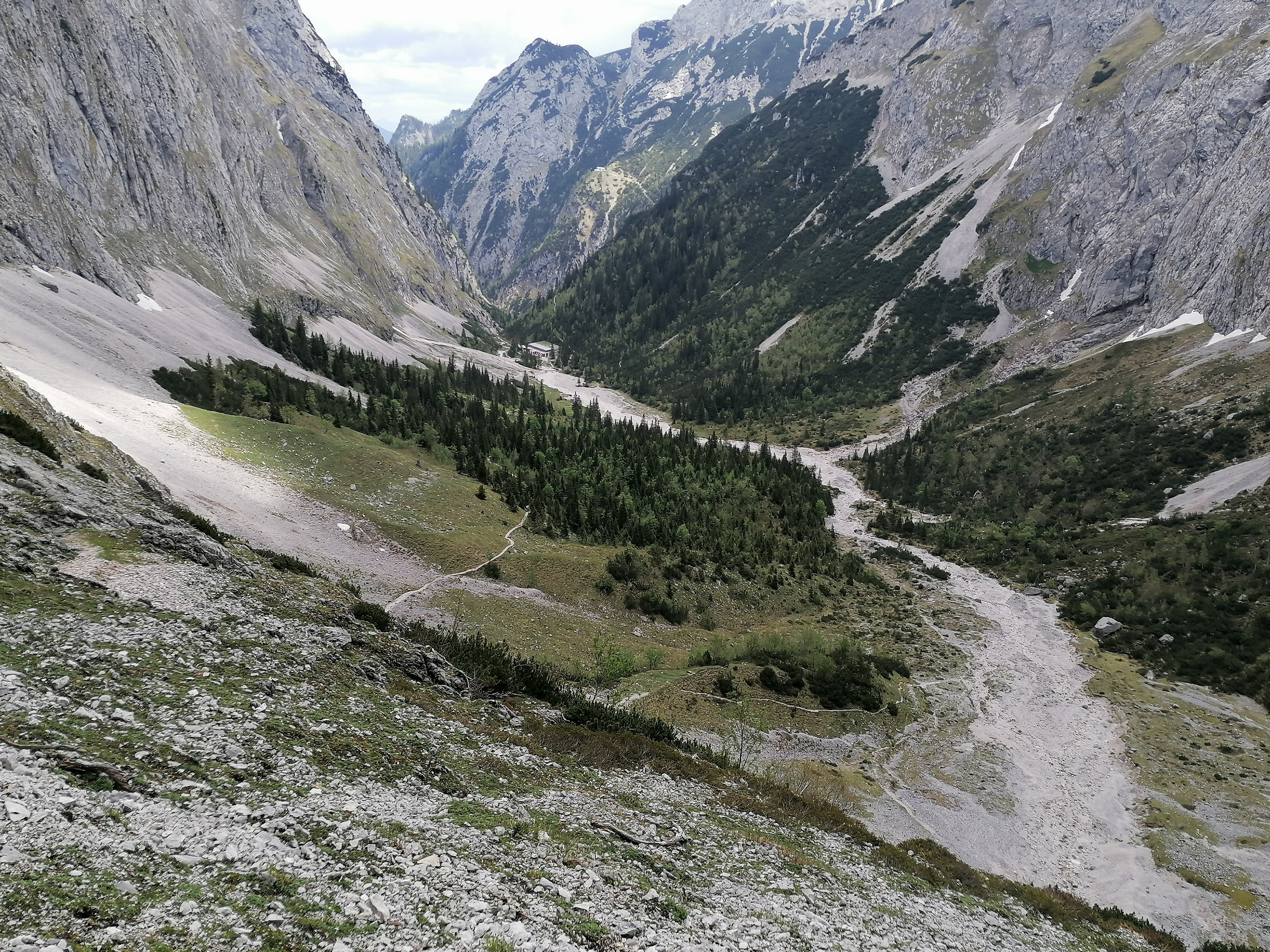 Wald- und Baumgrenze am Sonnhang